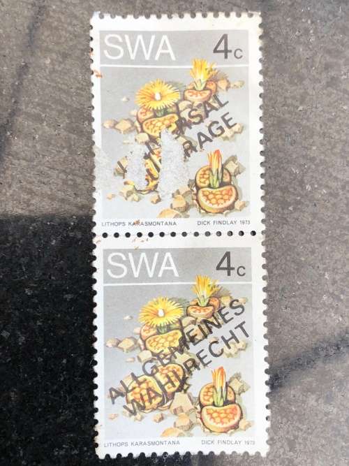 A COLLECTION OF SOUTHERN AFRICAN STAMPS ~ CHECK DESCRIPTION FOR MORE PICTURES
