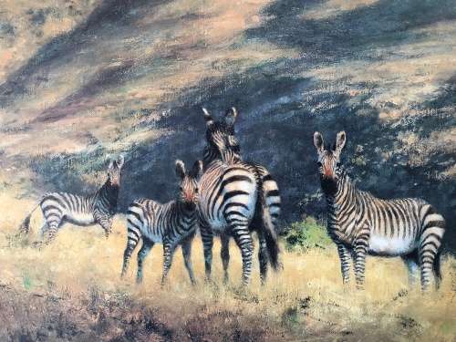 WOW !!!  STUNNING DAVID SHEPPARD LIMITED EDITION PRINT OF MOUNTAIN ZEBRA signed in pencil 155/1250