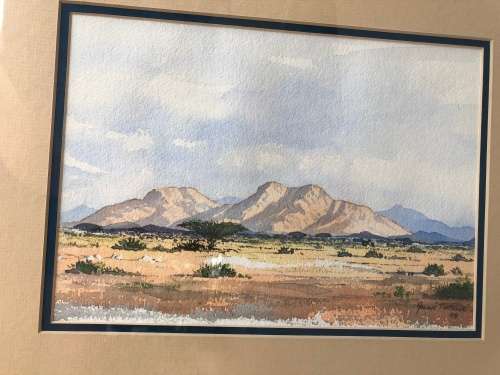 WOW !!!  RENOWNED SA ARTIST ARCHIE TORTOISE (ADRIAN VAN DER PLOEG 1939~2002) ORIGINAL WC FRAMED