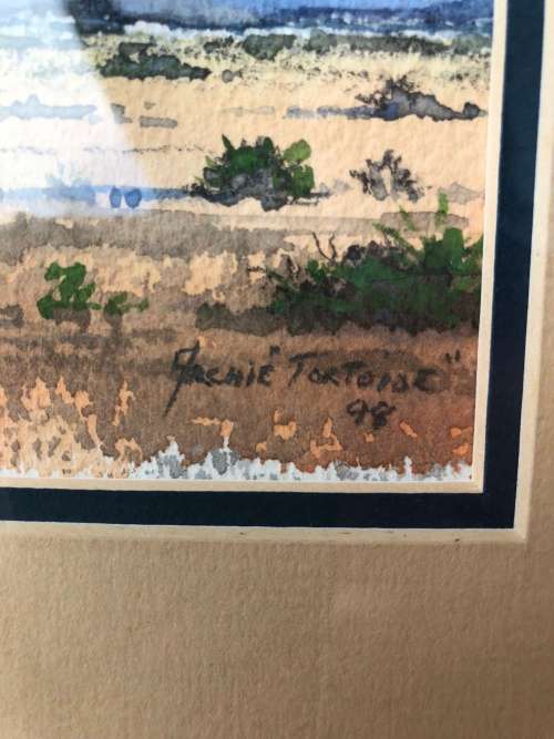 WOW !!!  RENOWNED SA ARTIST ARCHIE TORTOISE (ADRIAN VAN DER PLOEG 1939~2002) ORIGINAL WC FRAMED