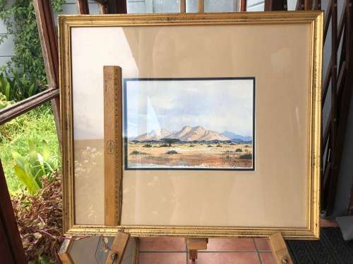 WOW !!!  RENOWNED SA ARTIST ARCHIE TORTOISE (ADRIAN VAN DER PLOEG 1939~2002) ORIGINAL WC FRAMED