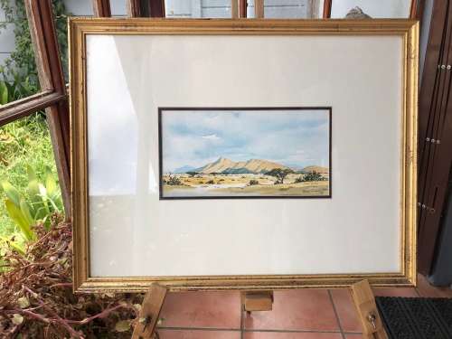 WOW !!!  RENOWNED SA ARTIST ARCHIE TORTOISE (ADRIAN VAN DER PLOEG 1939~2002) ORIGINAL WC FRAMED