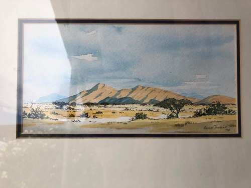 WOW !!!  RENOWNED SA ARTIST ARCHIE TORTOISE (ADRIAN VAN DER PLOEG 1939~2002) ORIGINAL WC FRAMED