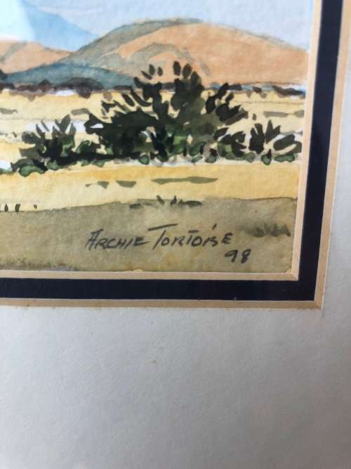 WOW !!!  RENOWNED SA ARTIST ARCHIE TORTOISE (ADRIAN VAN DER PLOEG 1939~2002) ORIGINAL WC FRAMED