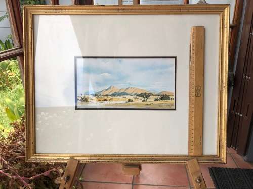 WOW !!!  RENOWNED SA ARTIST ARCHIE TORTOISE (ADRIAN VAN DER PLOEG 1939~2002) ORIGINAL WC FRAMED