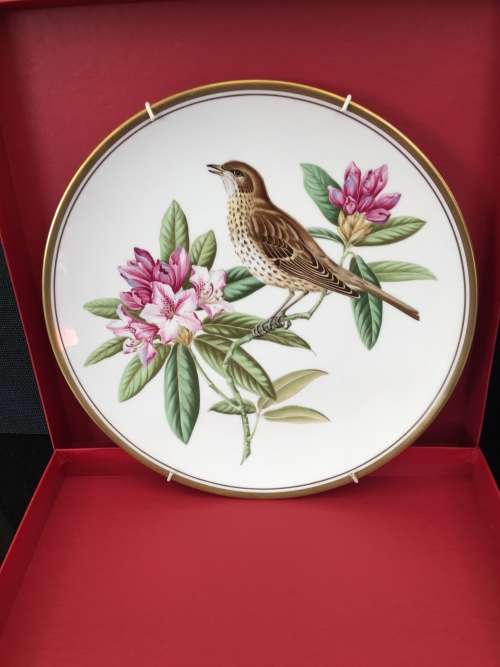 Highly Collectible "Garden Birds" no:5 "Mistle Thrush Display Plate By Spode Fine Bone China England