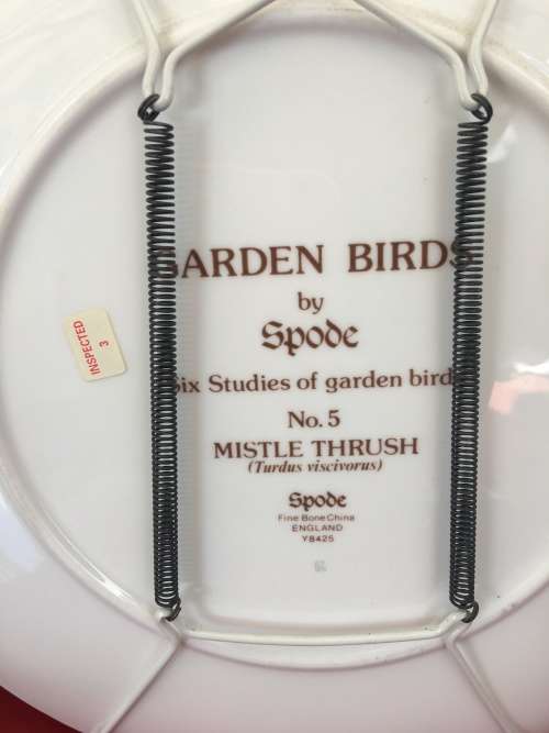 Highly Collectible "Garden Birds" no:5 "Mistle Thrush Display Plate By Spode Fine Bone China England
