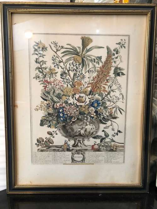 WOW !!! BEAUTIFUL ROB FURBER (1674~1756) "12 MONTHS OF FLOWERS" DECEMBER ENGRAVING ~ FRAMED