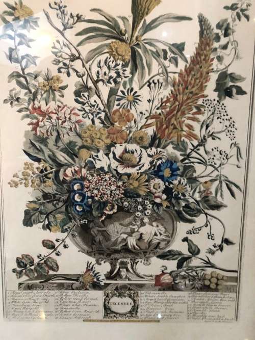 WOW !!! BEAUTIFUL ROB FURBER (1674~1756) "12 MONTHS OF FLOWERS" DECEMBER ENGRAVING ~ FRAMED