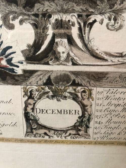 WOW !!! BEAUTIFUL ROB FURBER (1674~1756) "12 MONTHS OF FLOWERS" DECEMBER ENGRAVING ~ FRAMED