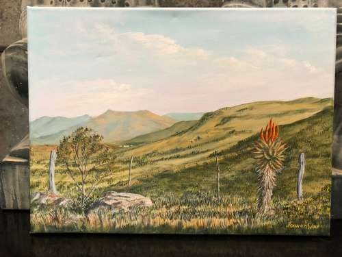 WOW !!! WHAT A BEAUTY ~ JOHN vd WALT ORIGINAL OIL ON CANVAS LANDSCAPE signed and unframed