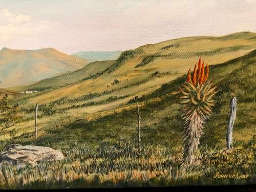 WOW !!! WHAT A BEAUTY ~ JOHN vd WALT ORIGINAL OIL ON CANVAS LANDSCAPE signed and unframed