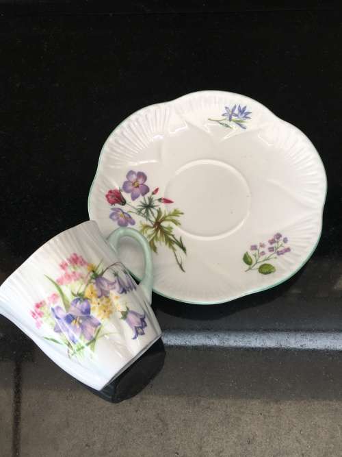 Absolutely stunning Ultra Rare Shelley Fine Bone China Cup & Saucer