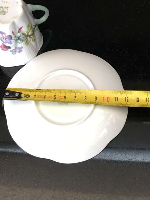 Absolutely stunning Ultra Rare Shelley Fine Bone China Cup & Saucer