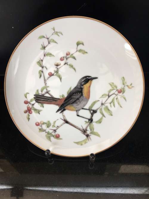 Limited Edition 1983 Jill Adams "Best Loved Birds of Southern Africa" Cape Robin 22cm