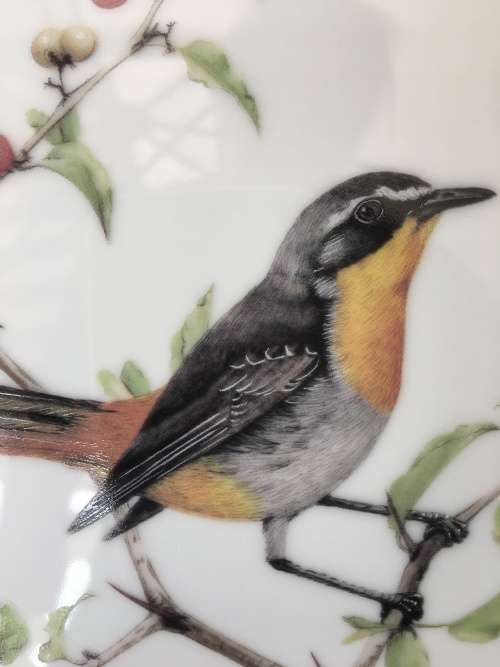 Limited Edition 1983 Jill Adams "Best Loved Birds of Southern Africa" Cape Robin 22cm