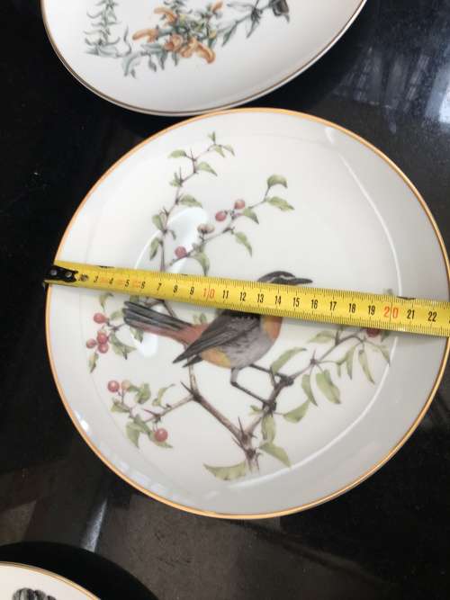 Limited Edition 1983 Jill Adams "Best Loved Birds of Southern Africa" Cape Robin 22cm