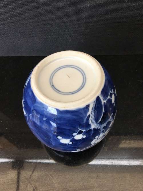 Stunning Collectible Antique Chinese Kangxi Double Blue Ring Prunus Ginger 11 cm. no Lid