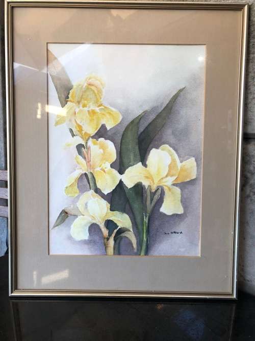 WOW !!!! SIMPLY STUNNING FRAMED JUNE HILLIARD WATERCOLOR OF YELLOW IRIS'S