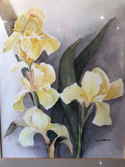 WOW !!!! SIMPLY STUNNING FRAMED JUNE HILLIARD WATERCOLOR OF YELLOW IRIS'S