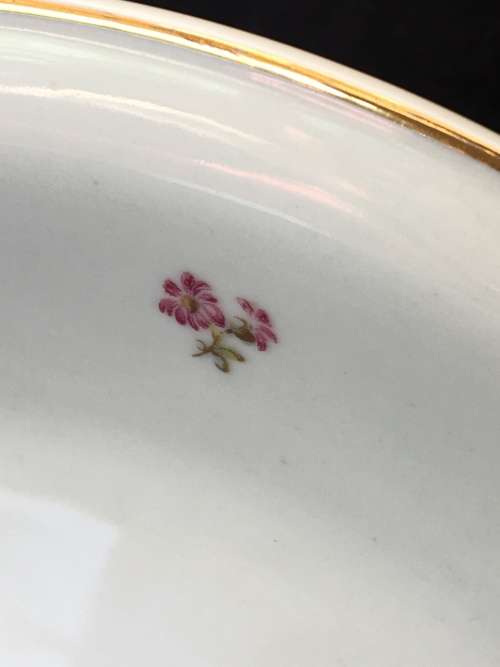 Antique Collectors, c1918 + Furstenberg Germany Porcelain 25 cm Plate. Rose Floral & Gold Gilt