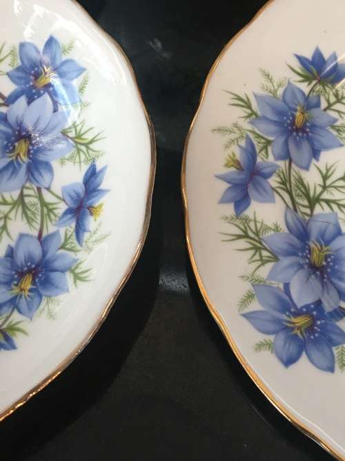 6 x 16 cm Beautiful Vintage c1959+ Queen Anne by Ridgway Bone China Side Plates with Blue Flowers