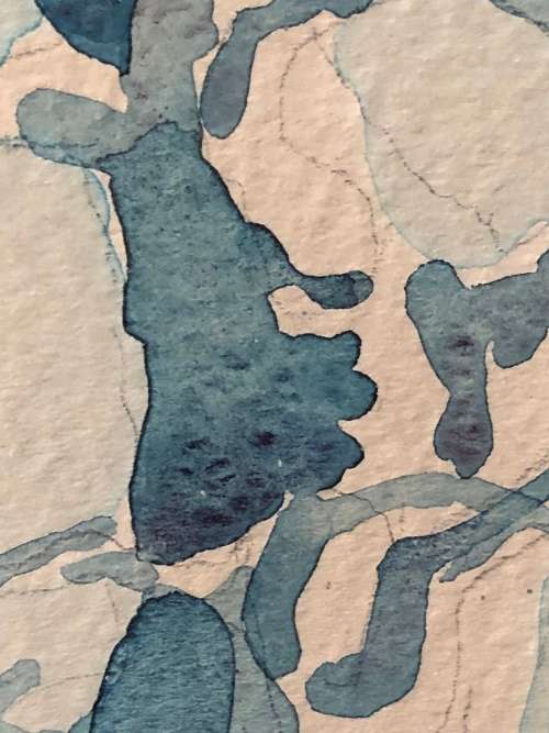 HIGH INVESTMENT ART !!! - FAMOUS SA ARTIST PIERRE VOLSCHENK (1926 -) ORIGINAL WATERCOLOR