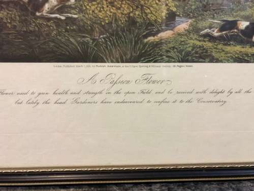WOW !!! STUNNING FRAMED HUNTING PRINT OF A JOHN HARRIS (1767-1832) COLOUR STEEL ENGRAVING