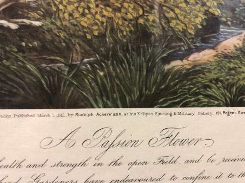 WOW !!! STUNNING FRAMED HUNTING PRINT OF A JOHN HARRIS (1767-1832) COLOUR STEEL ENGRAVING