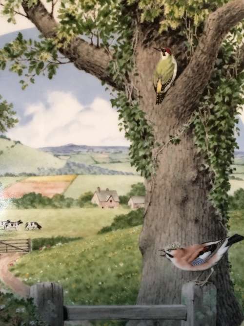 WOW!! c1979. Plate Hand Painted by Peter Barret "A Country Path In May" made by Royal Worcester