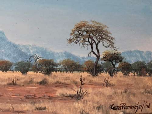 INVESTMENT ART ~ FAMOUS SA ARTIST GERT PIETERSEN OIL ON BOARD LANDSCAPE DATED 1976 ~ FRAMED