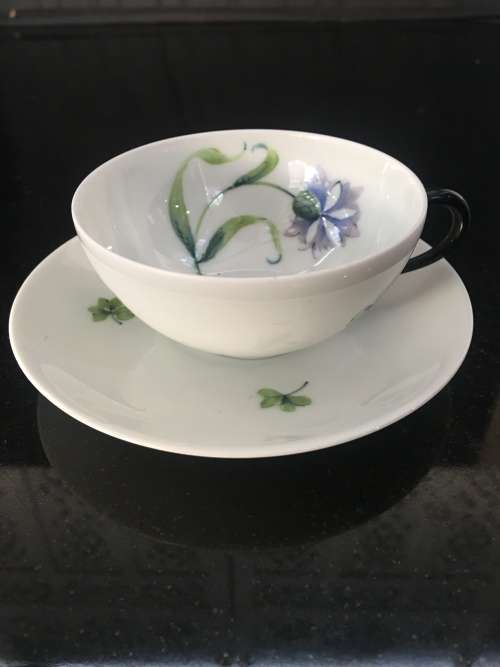 Antique  Limoges France Botanical Hand Painted Eggshell Demitasse Cup & Saucer. Marked.