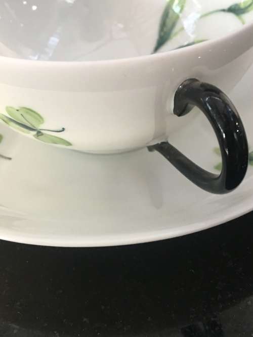 Antique  Limoges France Botanical Hand Painted Eggshell Demitasse Cup & Saucer. Marked.