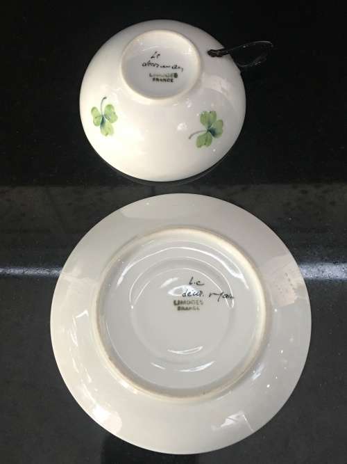 Antique  Limoges France Botanical Hand Painted Eggshell Demitasse Cup & Saucer. Marked.