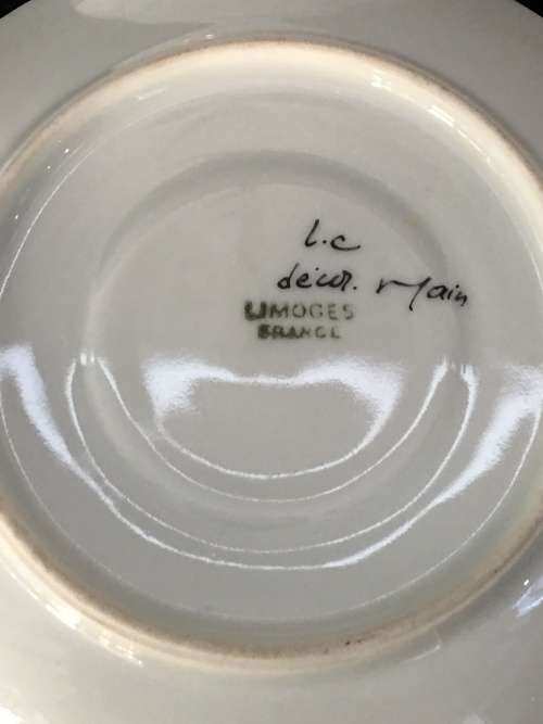 Antique  Limoges France Botanical Hand Painted Eggshell Demitasse Cup & Saucer. Marked.