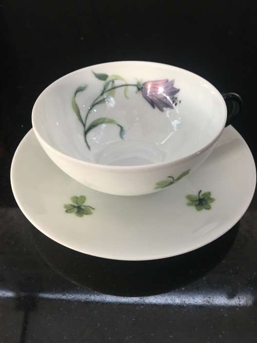 Antique  Limoges France Botanical Hand Painted Eggshell Demitasse Cup & Saucer. Marked.