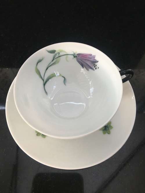 Antique  Limoges France Botanical Hand Painted Eggshell Demitasse Cup & Saucer. Marked.