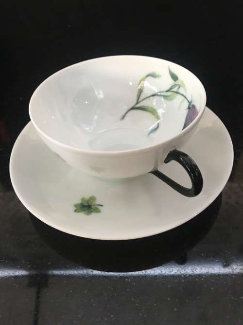 Antique  Limoges France Botanical Hand Painted Eggshell Demitasse Cup & Saucer. Marked.