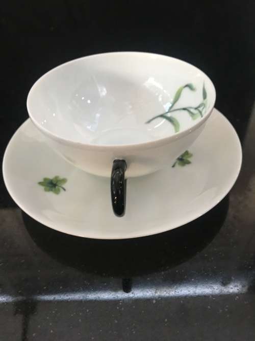 Antique  Limoges France Botanical Hand Painted Eggshell Demitasse Cup & Saucer. Marked.