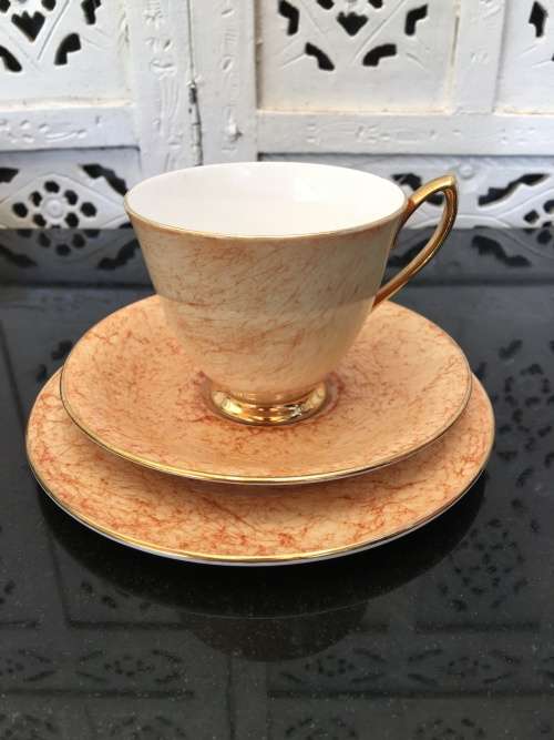 Wow!!! Collectors Rare  c1950s  Royal Albert Gossamer,Tan & Gold Gilt, Smooth Shape. Std Size.