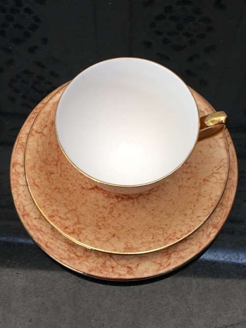 Wow!!! Collectors Rare  c1950s  Royal Albert Gossamer,Tan & Gold Gilt, Smooth Shape. Std Size.