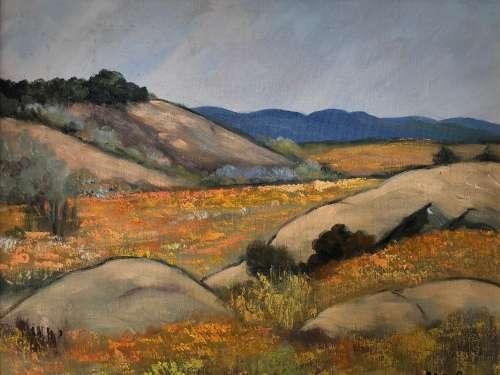 WOW !! DON BENZIEN SOUTH AFRICAN 20th CENTURY - SPECTACULAR OIL ON CANVAS - FRAMED AND SIGNED