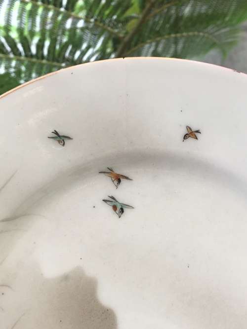 Lot Absolutely Stunning Antique Japanese Eggshell Kutani Hand Painted Porcelain Bird Plates signed