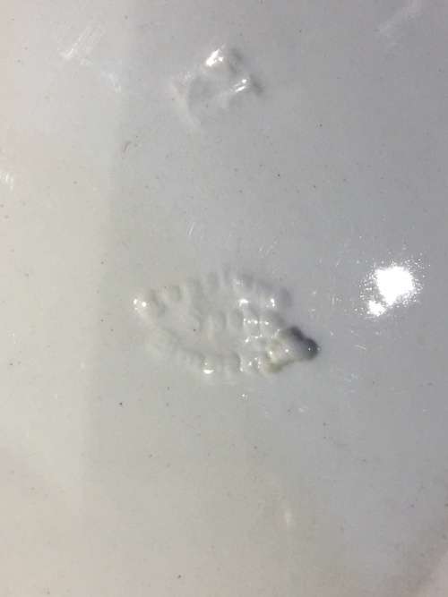 Collectors c1947 Copeland Spode Chinese Rose Pattern Large Platter. Reg:629599. Imprint mark J47