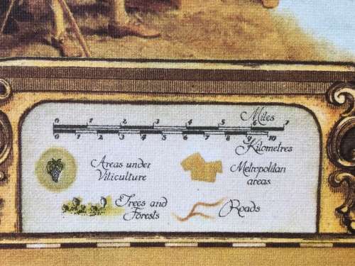 BEAUTIFULLY FRAMED VINTAGE MAP OF CONSTANTIA / DURBANVILLE BY JANICE ASHBY DESIGN STUDIOS 1973