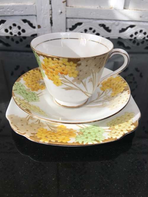 Stunning Vintage Royal Standard Fine China. "Valencia" Porcelain Tea Trio, Std Size.