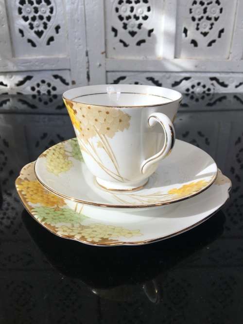 Stunning Vintage Royal Standard Fine China. "Valencia" Porcelain Tea Trio, Std Size.