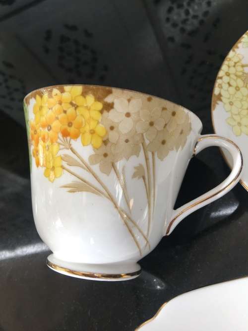 Stunning Vintage Royal Standard Fine China. "Valencia" Porcelain Tea Trio, Std Size.