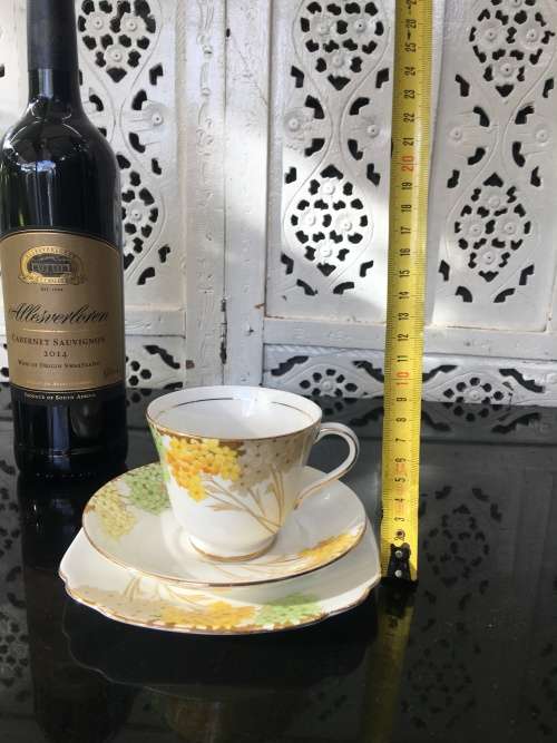 Stunning Vintage Royal Standard Fine China. "Valencia" Porcelain Tea Trio, Std Size.
