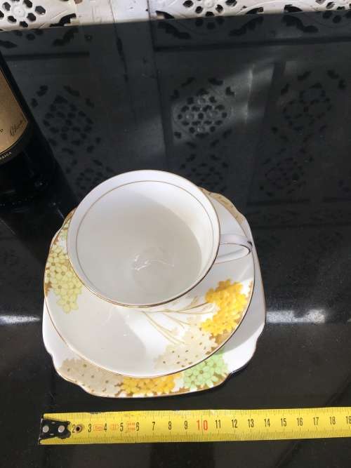 Stunning Vintage Royal Standard Fine China. "Valencia" Porcelain Tea Trio, Std Size.